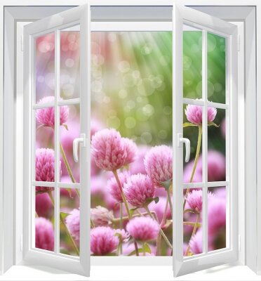 Фотообои с окном Полевые цветы