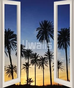 пальма, закат, пляж, окно